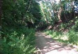 Rust, natuur, holle straat
