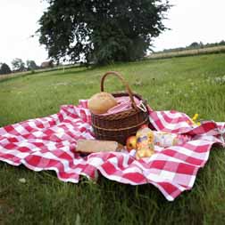 picknick metstreekproducten