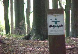 speelzone voor kinderen in het Lindenbos en het Chartreuzebos