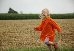 streekwandeling in het wandelnetwerk