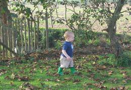 wandelroute naar het bos in Holsbeek