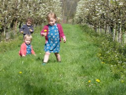 bloesemveertiendaagse, picknick,fruitstreek, bloesemtocht, fruit Vanhellemont